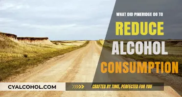 Pine Ridge's Innovative Strategies to Curb Alcohol Consumption Successfully