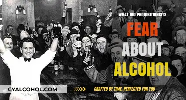 Prohibitionists' Fears: Uncovering the Deep-Rooted Concerns About Alcohol's Impact