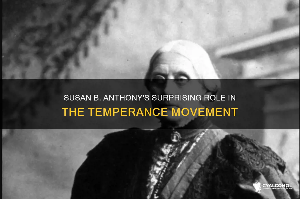what did susan b anthony do for alcohol