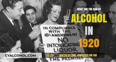 Prohibition's Impact: How the 1920 Alcohol Ban Changed America