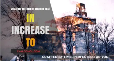 Prohibition's Unintended Consequences: Rise of the Underworld