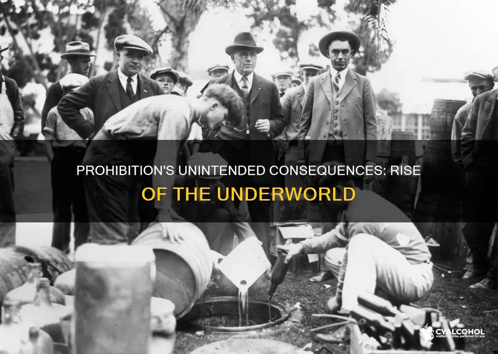 what did the ban of alcohol lead in increase to