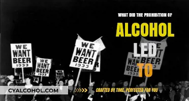 Prohibition's Impact: Unintended Consequences and Cultural Shifts in America