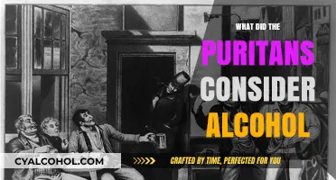 Puritan Views on Alcohol: Temperance, Morality, and Social Control