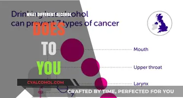 Exploring Alcohol's Effects: How Different Types Impact Your Body and Mind
