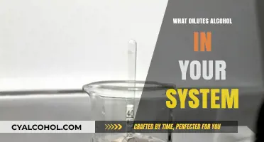 How Water and Time Dilute Alcohol in Your System Effectively