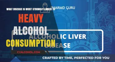Alcohol Abuse: The Liver Disease Link