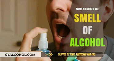 Effective Ways to Mask Alcohol Odor: Tips and Tricks Revealed