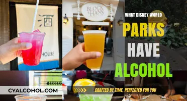 Disney World's Alcohol Options: Which Parks Serve Drinks?