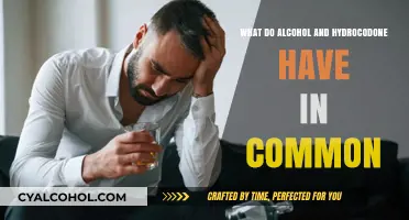 Alcohol and Hydrocodone: Shared Risks, Interactions, and Health Impacts