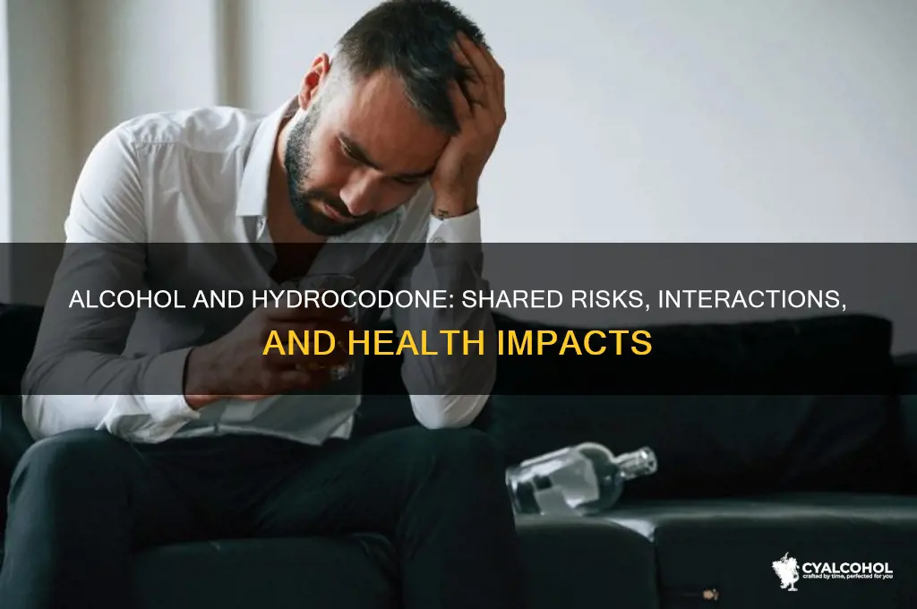 what do alcohol and hydrocodone have in common