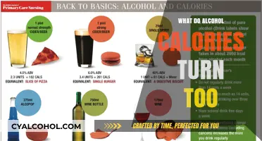 Alcohol Calories: How Your Body Processes and Stores Them