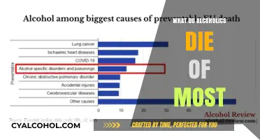 Leading Causes of Death Among Alcoholics: Uncovering the Most Common Risks