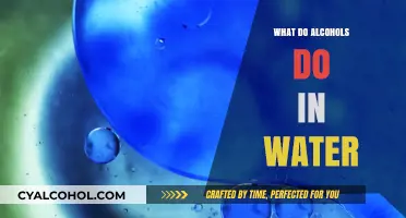 How Alcohols Interact with Water: Solubility, Reactions, and Effects Explained