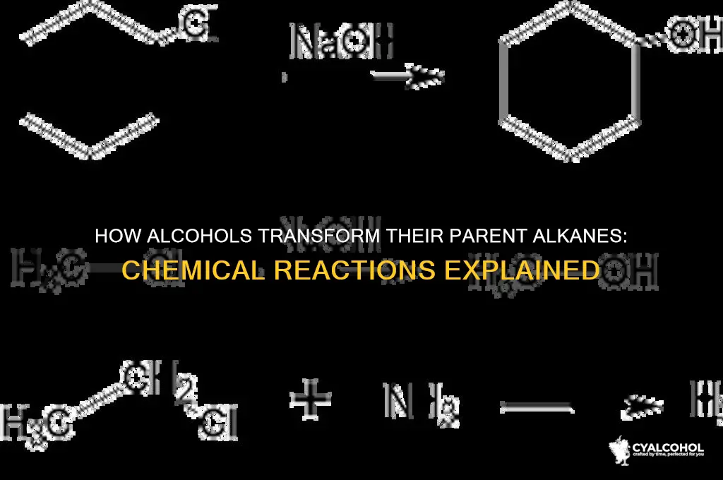 what do alcohols do to their parent alkane