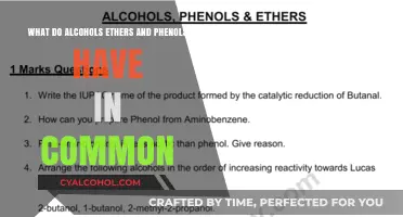 Unveiling Alcohols, Ethers, and Phenols: Their Intriguing Commonalities