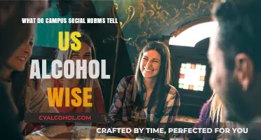 Social Norms and Alcohol: Campus Insights