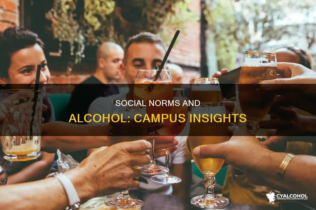 what do campus social norms tell us alcohol wise