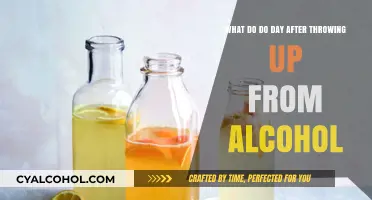 Hangover Recovery: Alcohol-Induced Vomiting and You