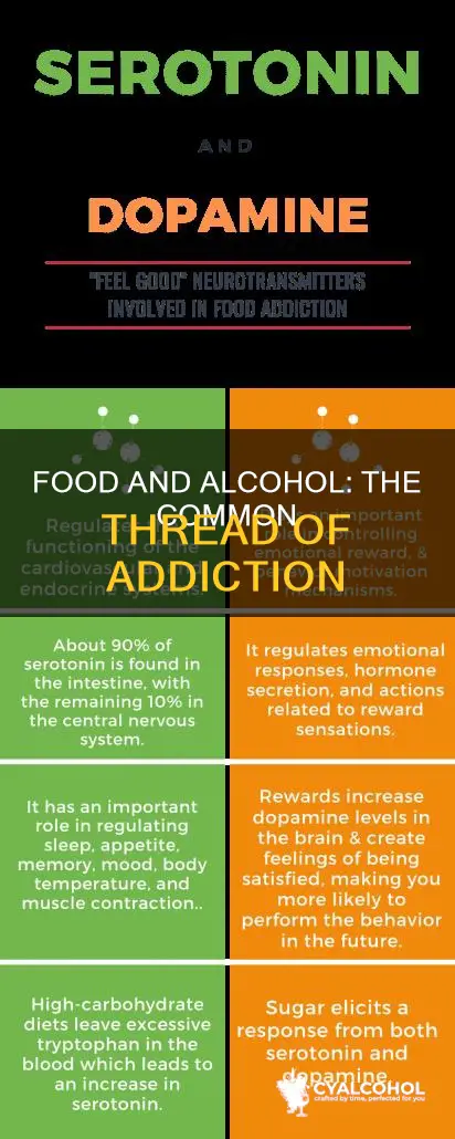 what do food addicts have in common with alcoholics