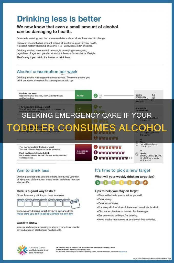 what do i do if my toddler drank alcohol
