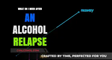 After an Alcohol Relapse: Essential Steps for Recovery and Healing