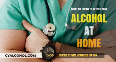 Alcohol Detox: Home Remedies and Recovery