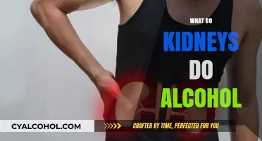 How Alcohol Impacts Kidney Function: Understanding the Risks and Effects
