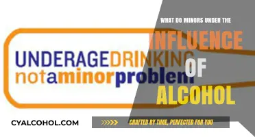 Minors and Alcohol: Risks, Consequences, and Prevention Strategies
