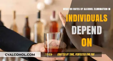Alcohol Metabolism: Individual Rates and Their Determinants