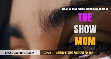 Recovering Alcoholics on the Show 'Mom': A Complex Perspective