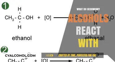 Secondary Alcohols: Key Reactions and Chemical Interactions Explained
