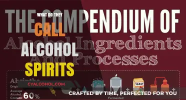Unveiling the Origins: What Do They Call Alcohol Spirits?