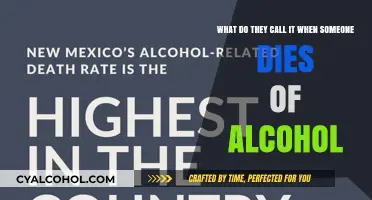 Alcohol-Related Deaths: Understanding the Fatal Impact