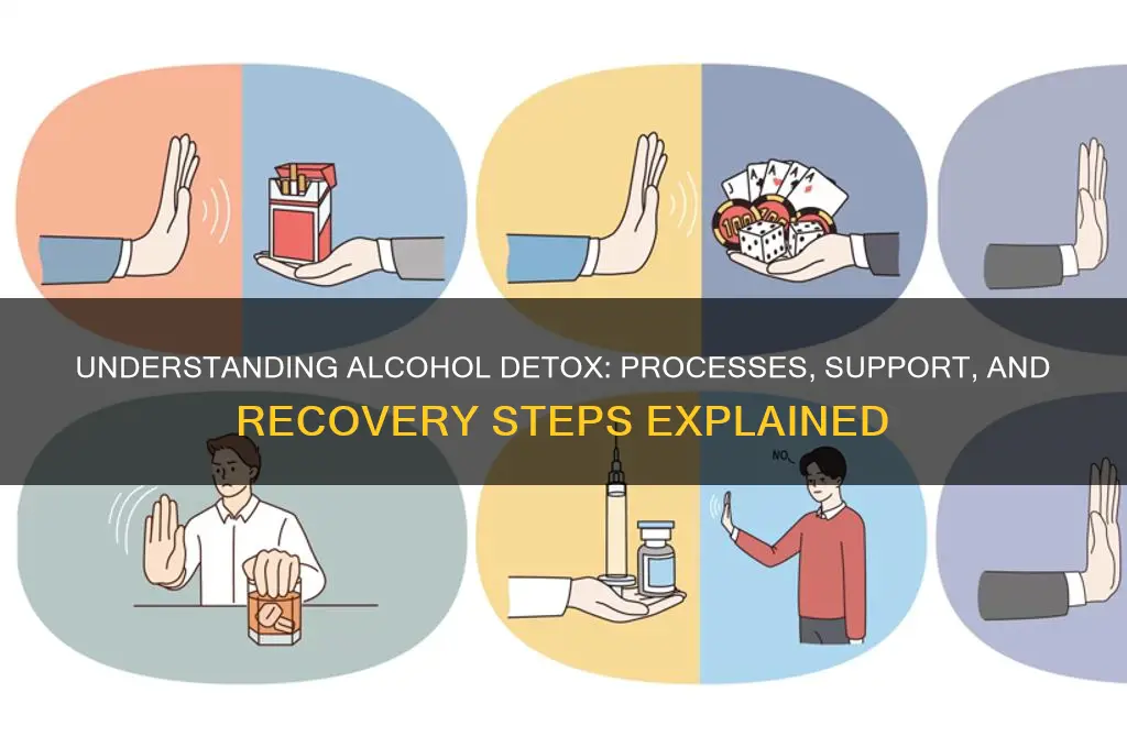 what do they do in detox for alcoholics