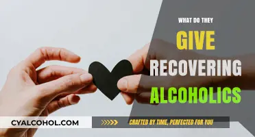 Supporting Sobriety: Essential Tools and Resources for Recovering Alcoholics