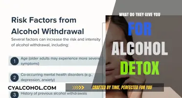 Alcohol Detox Essentials: Medications, Therapies, and Support for Recovery