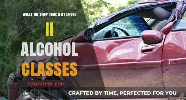 Alcohol Classes: What You Learn in Level II