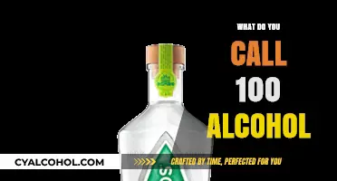 Unveiling the Term for 100% Alcohol: A Comprehensive Guide