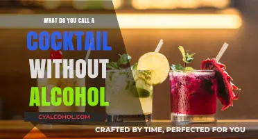 Mocktails: The Perfect Non-Alcoholic Cocktail Alternative Explained