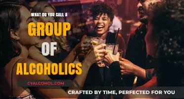 Understanding the Term for a Group of Alcoholics: A Collective Name
