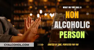 Understanding Sobriety: What Do You Call a Non-Alcoholic Person?
