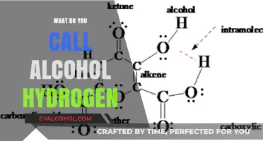 Unveiling the Chemistry: What's the Term for Alcohol Hydrogen?