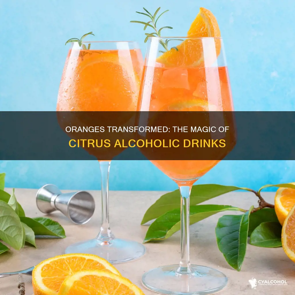 what do you call an alcoholic beverage made of oranges