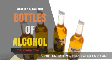 Mini Alcohol Bottles: Names, Uses, and Fun Facts Explained