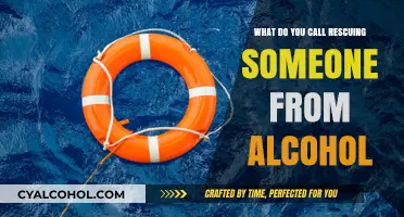 Saving Lives from Alcohol: Understanding the Power of Intervention and Recovery