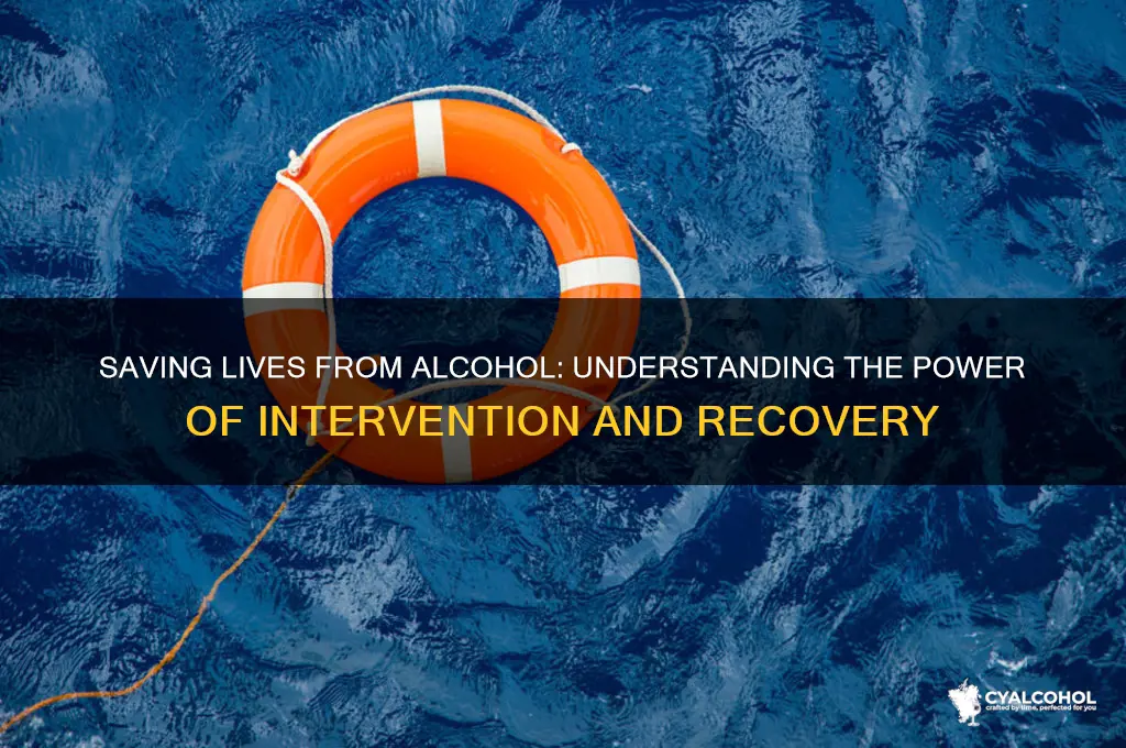 what do you call rescuing someone from alcohol