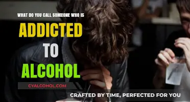 Battling Alcoholism: Understanding the Addicted Mind