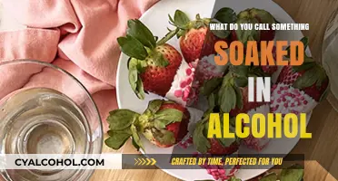 Alcohol-Infused Delights: Unveiling the Perfect Name for Boozy Soaked Treats