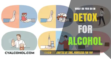 Alcohol Detox Process: Steps, Support, and Recovery Strategies Explained